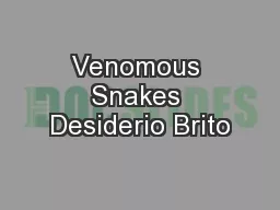 Venomous Snakes Desiderio Brito
