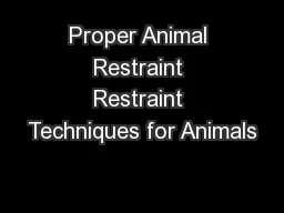 Proper Animal Restraint Restraint Techniques for Animals