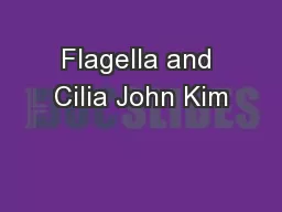 Flagella and Cilia John Kim