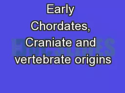 Early Chordates, Craniate and vertebrate origins