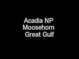 Acadia NP Moosehorn Great Gulf