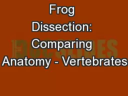 Frog Dissection: Comparing Anatomy - Vertebrates