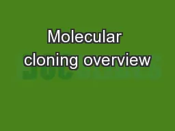 Molecular cloning overview
