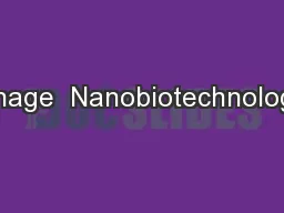 Phage  Nanobiotechnology