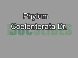 Phylum   Coelenterata Dr.