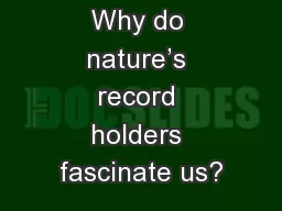 Big Question: Why do nature’s record holders fascinate us?