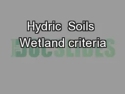 Hydric  Soils Wetland criteria