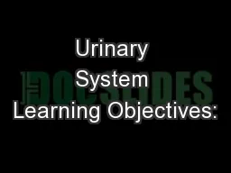 Urinary System Learning Objectives: