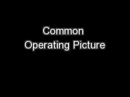 Common Operating Picture