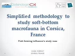 Simplified methodology to study soft-bottom macrofauna in Corsica,