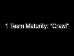 1 Team Maturity: “Crawl”
