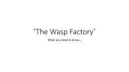 ‘The Wasp Factory’ What you need to know…