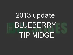 2013 update BLUEBERRY TIP MIDGE