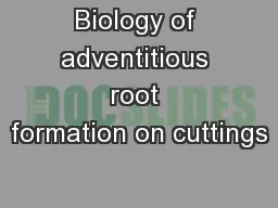 Biology of adventitious root formation on cuttings