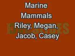 Marine Mammals Riley, Megan, Jacob, Casey