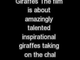 High Diving Giraffes The film is about amazingly talented inspirational giraffes taking