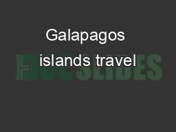 Galapagos islands travel