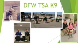 DFW TSA K9  Link to Video