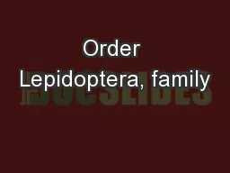 Order Lepidoptera, family