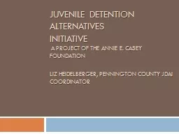 Juvenile Detention Alternatives