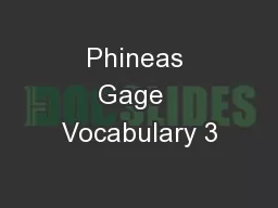 Phineas Gage  Vocabulary 3