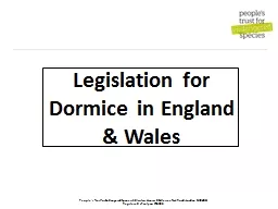 Legislation for Dormice in England &