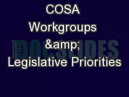 COSA Workgroups & Legislative Priorities