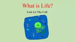 What is Life? Unit 4.2 The Cell