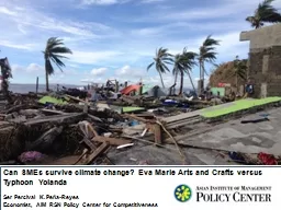 Can SMEs survive climate change? Eva Marie Arts and Crafts versus Typhoon Yolanda