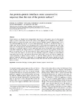 Are protein protein interfaces more conserved in seque