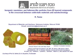 Department of Materials and Interfaces, Weizmann Institute, Rehovot 76100