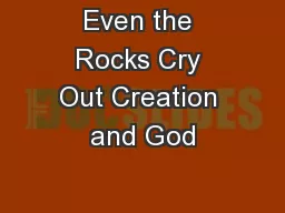 Even the Rocks Cry Out Creation and God