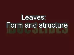 Leaves:   Form and structure