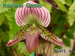 Review Game Part 5 IDENTITY