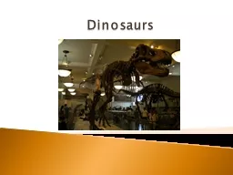 Dinosaurs Why Study Dinosaurs?