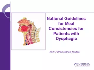 National Guidelines for Meal Consistencies for Patient