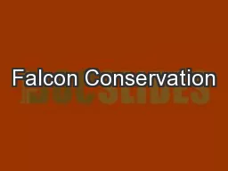 Falcon Conservation