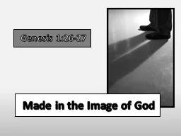 Made in the Image of God