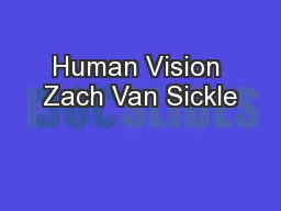 Human Vision Zach Van Sickle