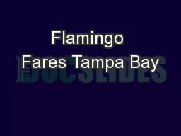 Flamingo Fares Tampa Bay