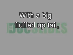 With a big fluffed up tail,
