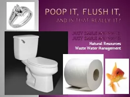 Poop it, flush it,  and is that really it?