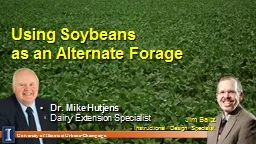 Using Soybeans  as  an Alternate Forage