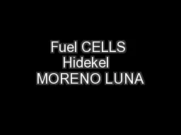 Fuel CELLS Hidekel  MORENO LUNA