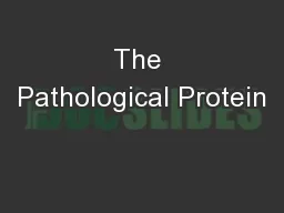 The Pathological Protein