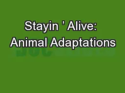 Stayin ’ Alive: Animal Adaptations