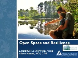 Open Space and Resilience