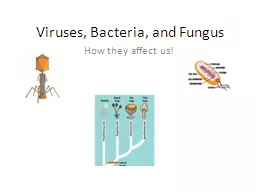 Viruses, Bacteria, and Fungus