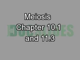 Meiosis  Chapter 10.1 and 11.3