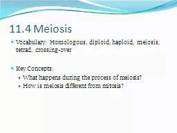 11.4 Meiosis Vocabulary: Homologous, diploid, haploid, meiosis, tetrad, crossing-over